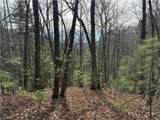 Lot 21 Buck Mountain Road - Photo 2