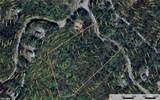 Lot 21 Buck Mountain Road - Photo 21