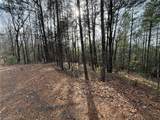 Lot 21 Buck Mountain Road - Photo 4