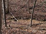 Lot 21 Buck Mountain Road - Photo 6