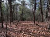 Lot 21 Buck Mountain Road - Photo 7