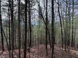 Lot 21 Buck Mountain Road - Photo 8