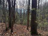 Lot 21 Buck Mountain Road - Photo 9