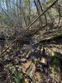 001 Rock Creek Ch Road - Photo 18