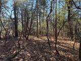 Lot 27 Bobcat Mountain Road - Photo 10