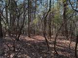 Lot 27 Bobcat Mountain Road - Photo 12
