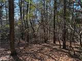 Lot 27 Bobcat Mountain Road - Photo 14