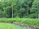 3205 Sheets Gap Road - Photo 12