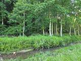 3205 Sheets Gap Road - Photo 18