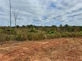 Lot 12 Skeens Mill Road - Photo 3