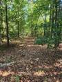 5364 Pisgah Covered Bridge Road - Photo 8