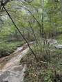0 Virginia Branch Road - Photo 5