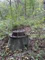 0 Virginia Branch Road - Photo 7