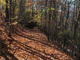 Lot 96 Buck Mountain Road - Photo 10