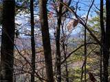 Lot 96 Buck Mountain Road - Photo 12