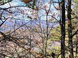 Lot 96 Buck Mountain Road - Photo 13