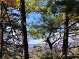 Lot 96 Buck Mountain Road - Photo 14