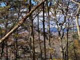 Lot 96 Buck Mountain Road - Photo 15