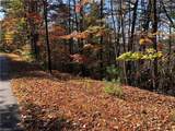 Lot 96 Buck Mountain Road - Photo 8