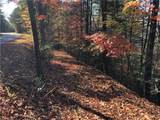 Lot 96 Buck Mountain Road - Photo 9