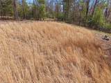 Lot 109 & 110 Pepper Bush Road - Photo 2
