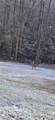 Lot 23 Green Pasture Lane - Photo 17
