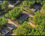 869 Windblow Road - Photo 3