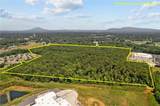 44.60Acres Campbell Ridge Circle - Photo 3
