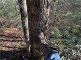 TBD1 Scout Road - Photo 18