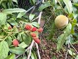 8508 Croft Drive - Photo 24