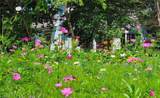 469 Justamere Farm Road - Photo 4