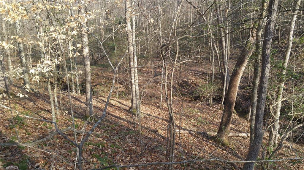 10 Great Oaks Trail - Photo 1
