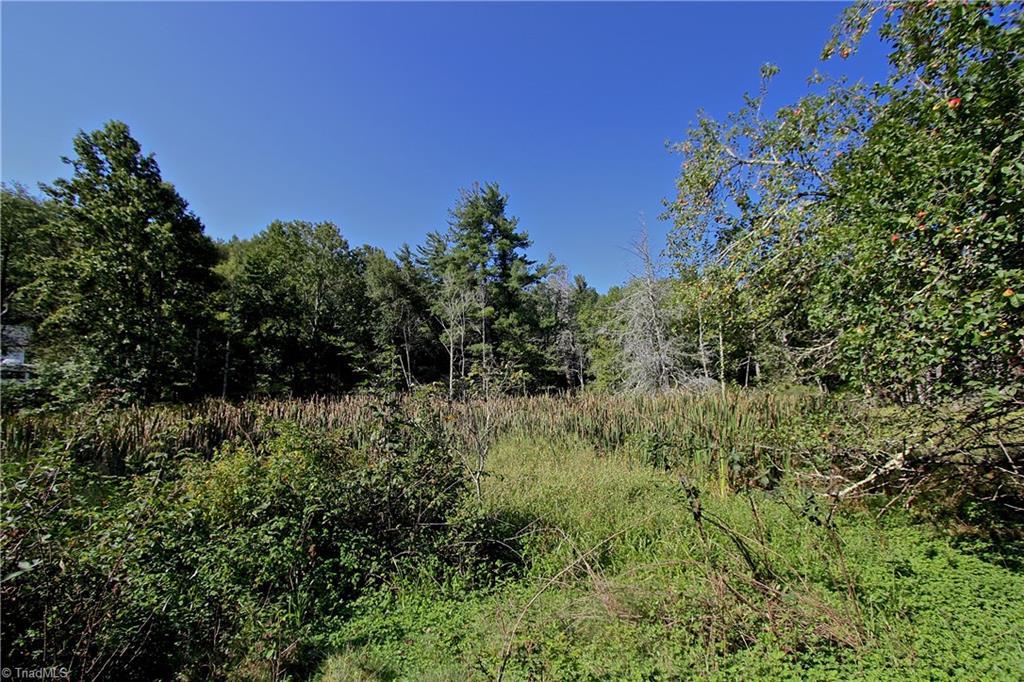 4 Cone Road - Photo 1