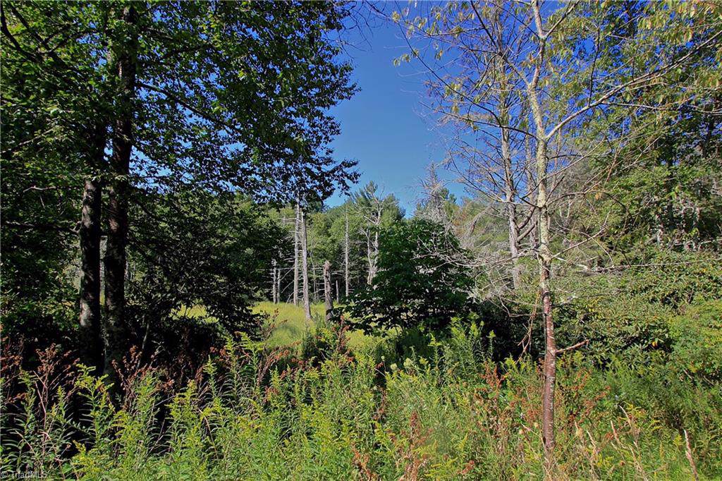 5 Cone Road - Photo 1