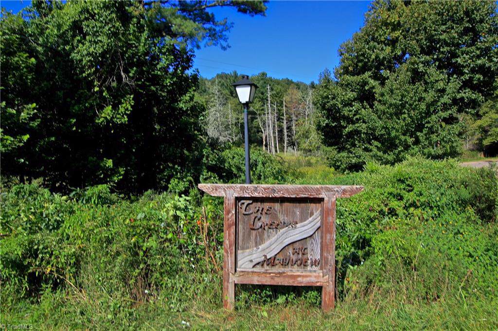0 Laurel Lane - Photo 1