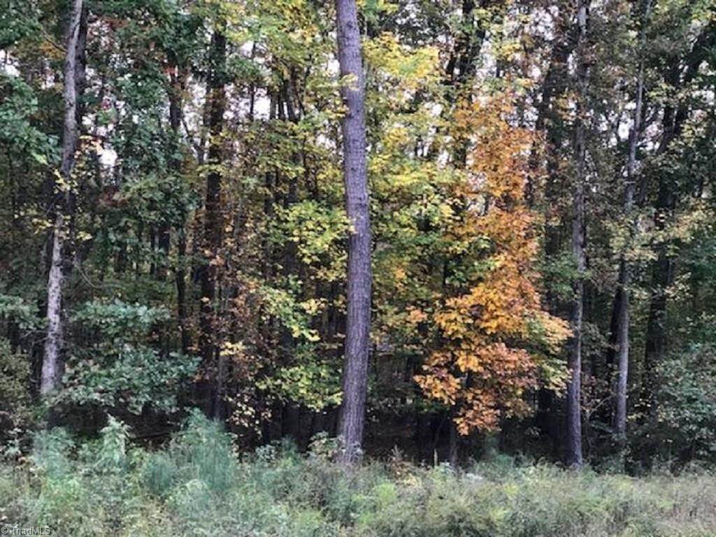 0 Mt Hermon Rock Creek Road - Photo 1