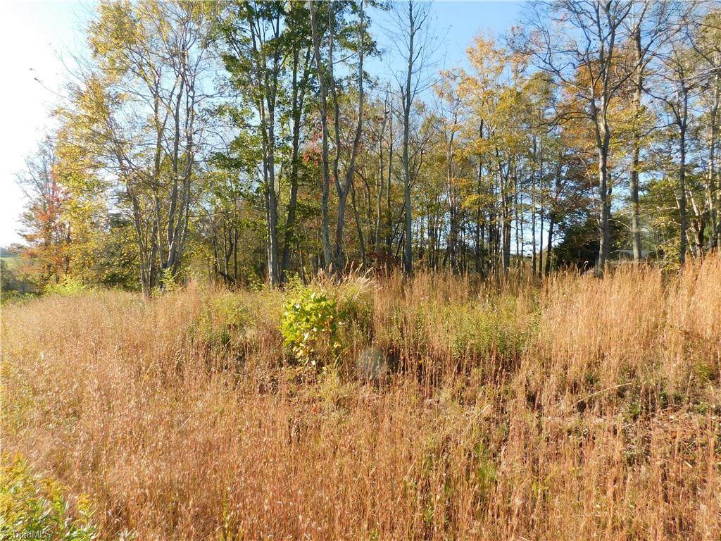 Lot # 2 Pheasant Trail - Photo 1