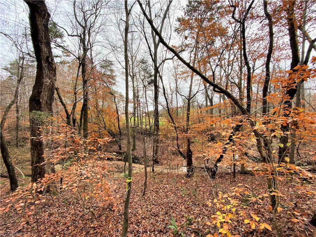 5214 Williard Road - Photo 1