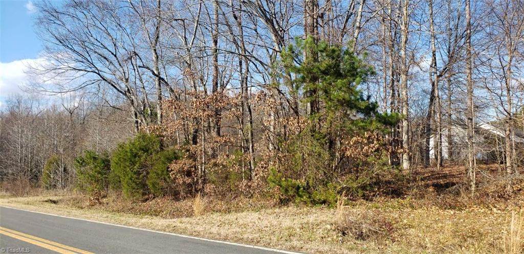 Lot 1 Carters Ridge Road - Photo 1