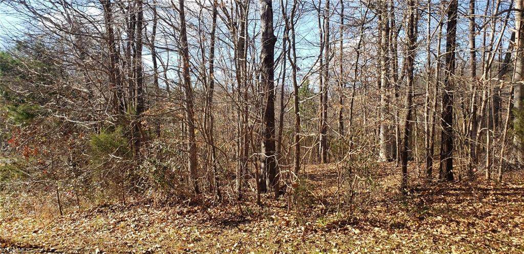 196 Carters Ridge Road - Photo 1