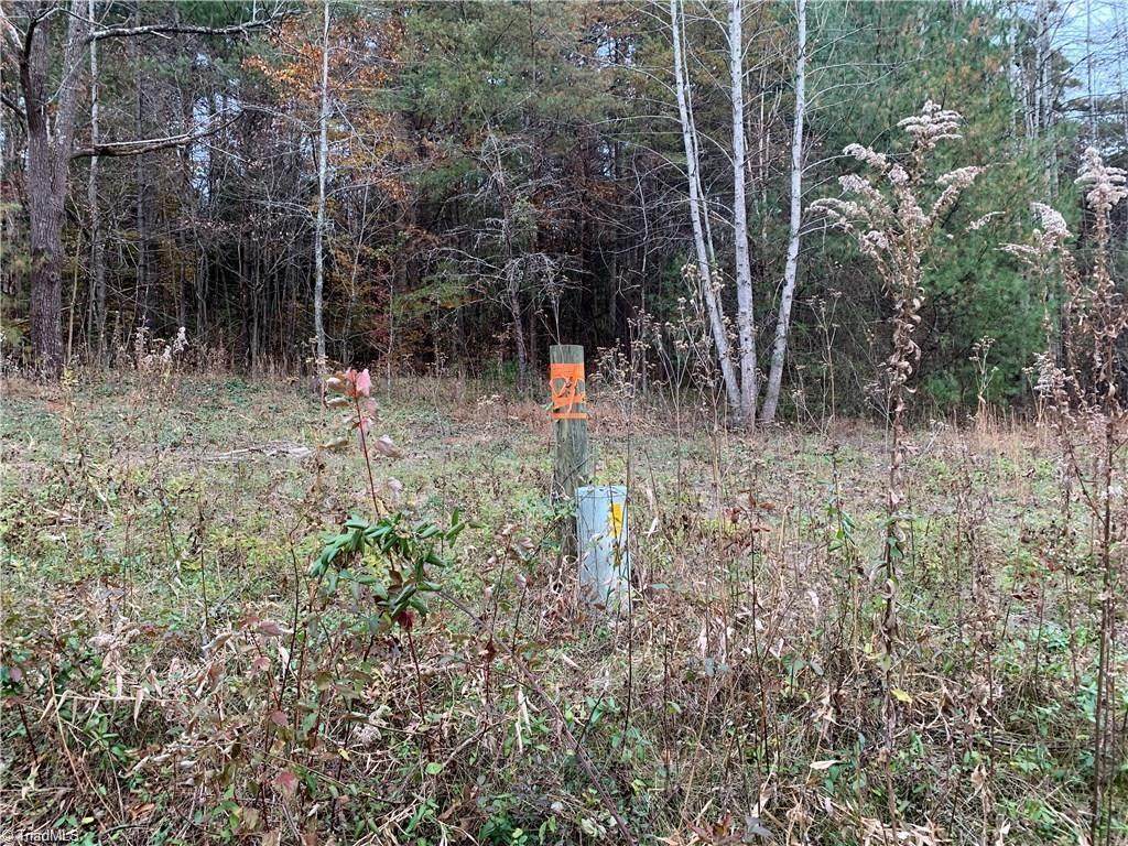00 Fish Dam Creek Road - Photo 1