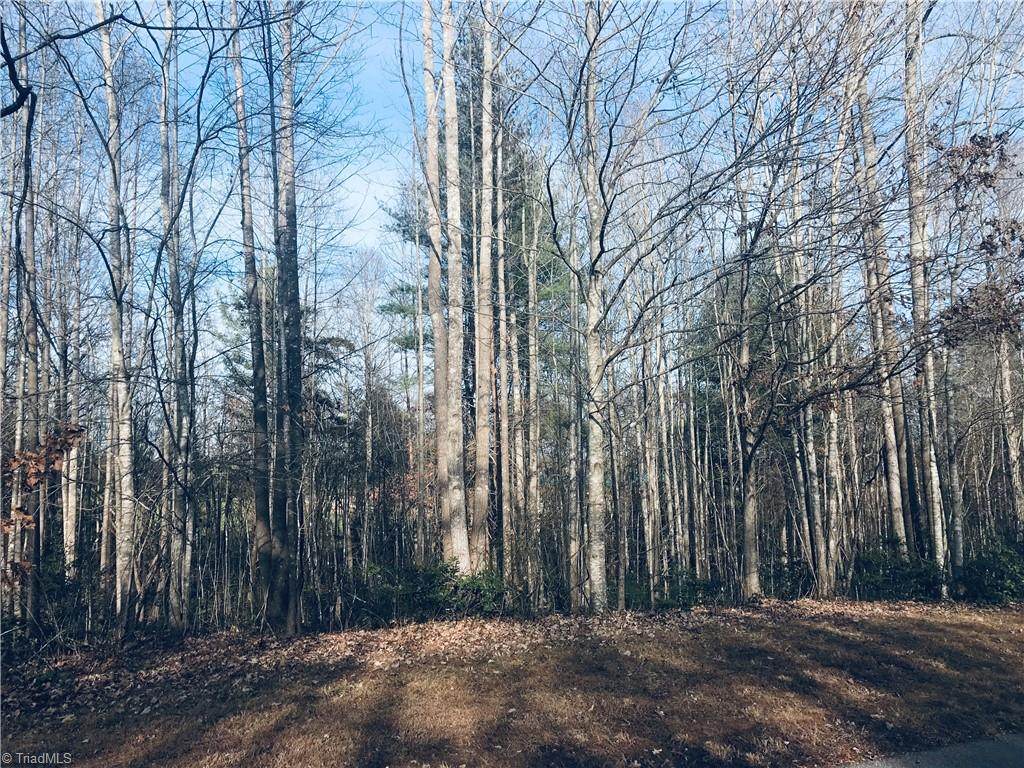 00 Cabin Cove Lane - Photo 1