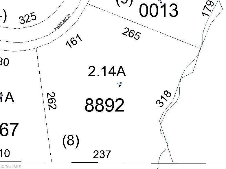 285 Angieline Drive - Photo 1