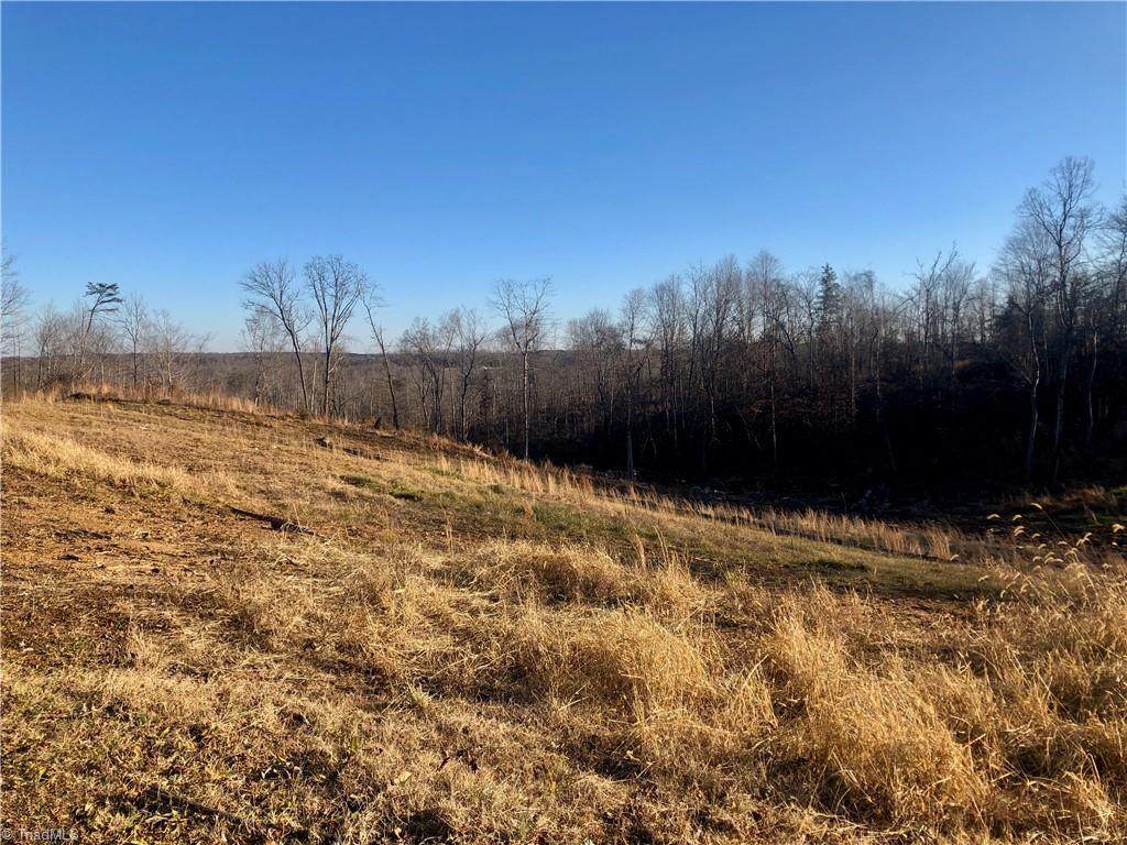 0 Lick Fork Creek Road - Photo 1