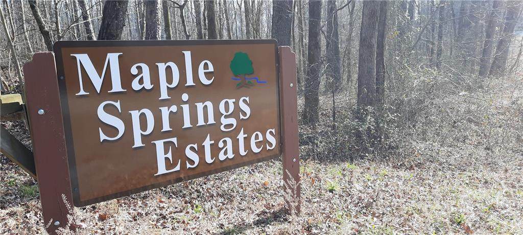 Lot 11B Maple Springs Lane - Photo 1