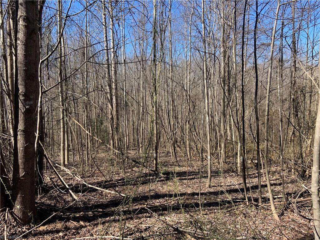 5 Acres Nc Highway 704 - Photo 1