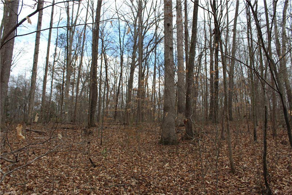 437 Westchester Road - Photo 1