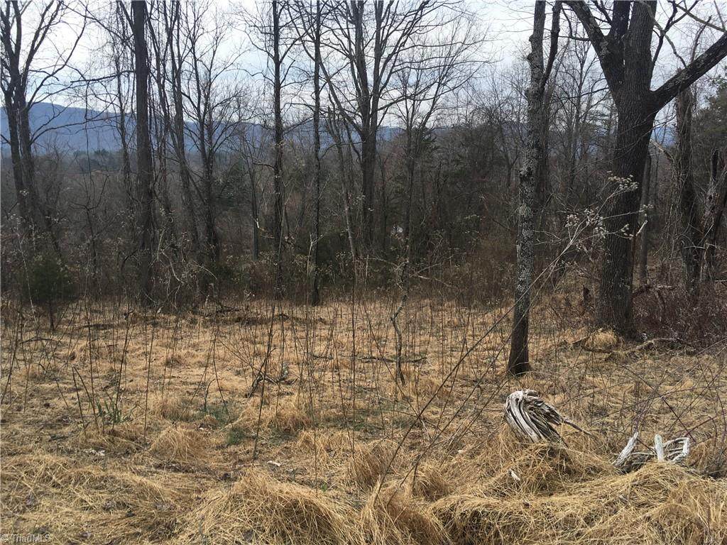 TBD Alleghany Spur Road - Photo 1