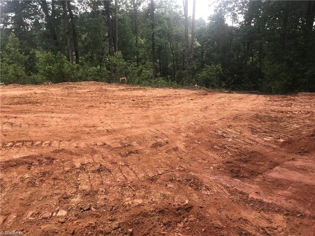 TBD Hamby Mountain Road - Photo 1