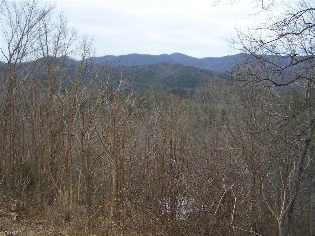#35 Bobcat Mountain Road - Photo 1
